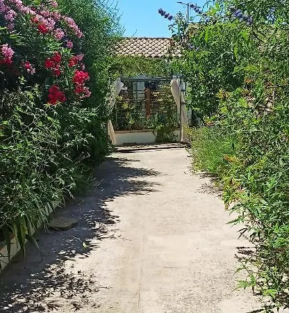 Secret Garden - Chez Gilles Et Tra - Maison D -t2 Super Mignon, Neuf Et Independant , Dans Cadre Agreable Et Zen Apartman *
