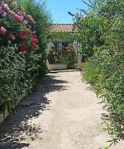 Secret Garden - Chez Gilles Et Tra - Maison D -t2 Super Mignon, Neuf Et Independant , Dans Cadre Agreable Et Zen Lägenhet *